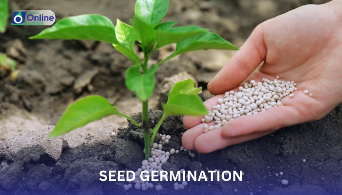 Lesson 11: Conditions for Seed Germination
